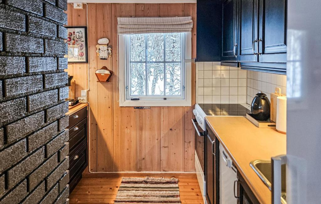 Beautiful 3 Bedroom Home In Uvdal With Kitchen photo 3