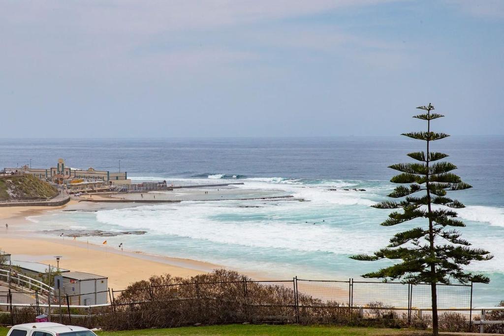 The Sandpiper - A Newy Beachfront Beauty photo 4