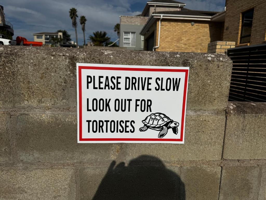 Tortoise Retreat photo 4