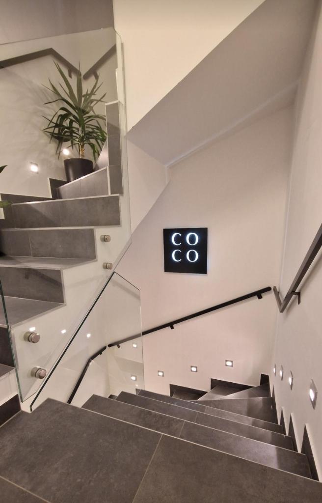 COCO photo 1