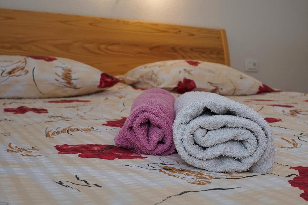 Apartmaji JOŠT photo 4