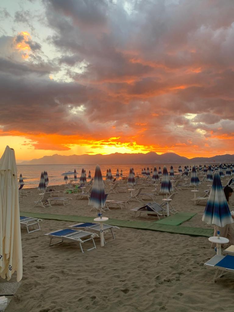 CASAMMARE photo 4