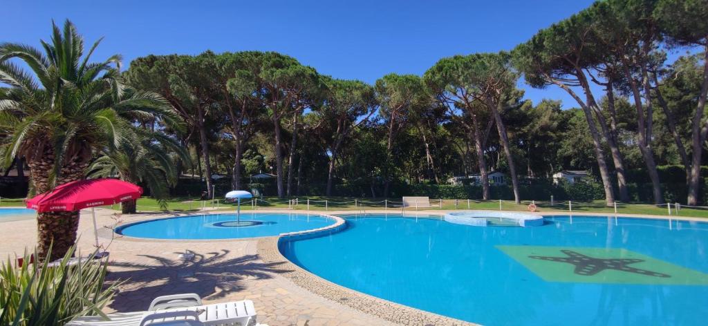 SMALL CAMP BAIA DOMIZIA KR VIP Full Service photo 3