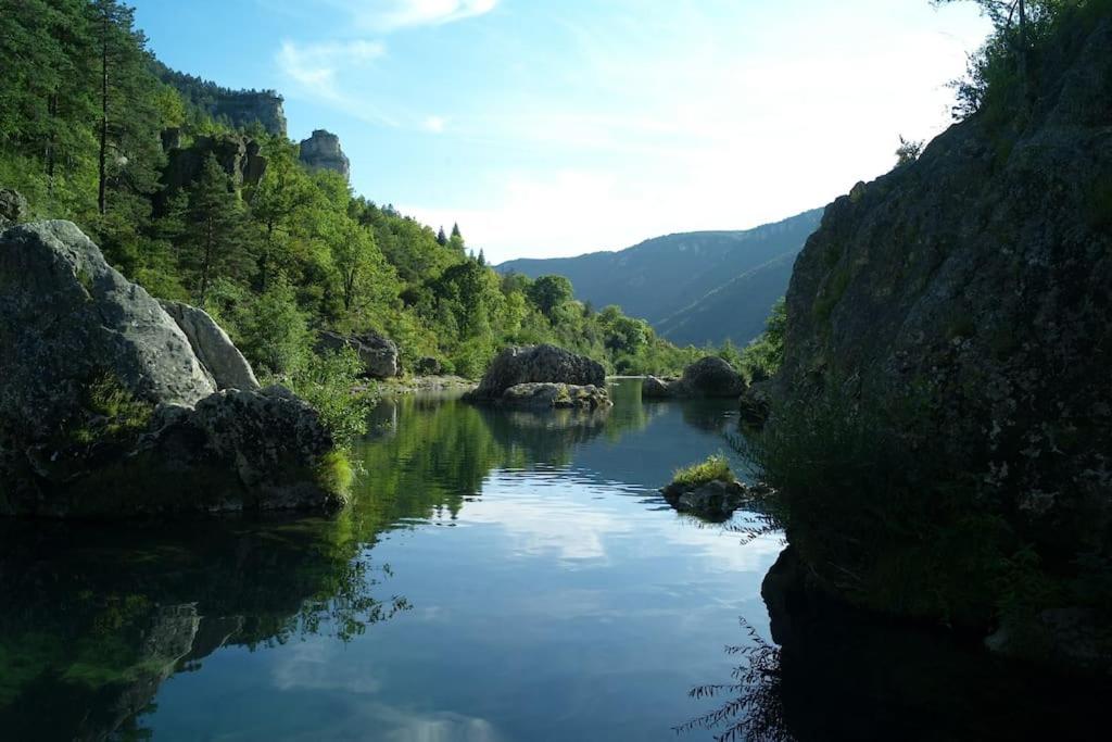 Gîte éco-responsable exceptionnel pour 6 ou 8 personnes secteur gorges du Tarn photo 2