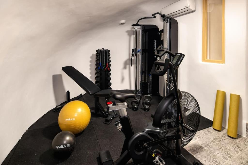 Mystagoge Retreat cave with an indoor pool and gym photo 4