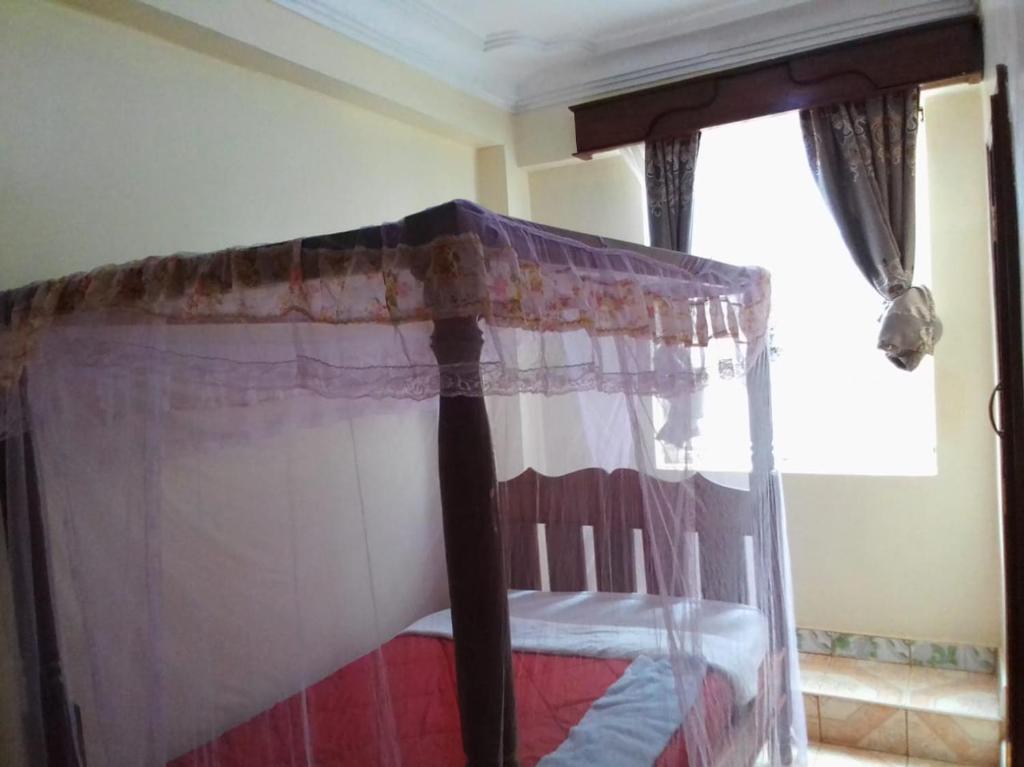 Dreams lodge photo 3