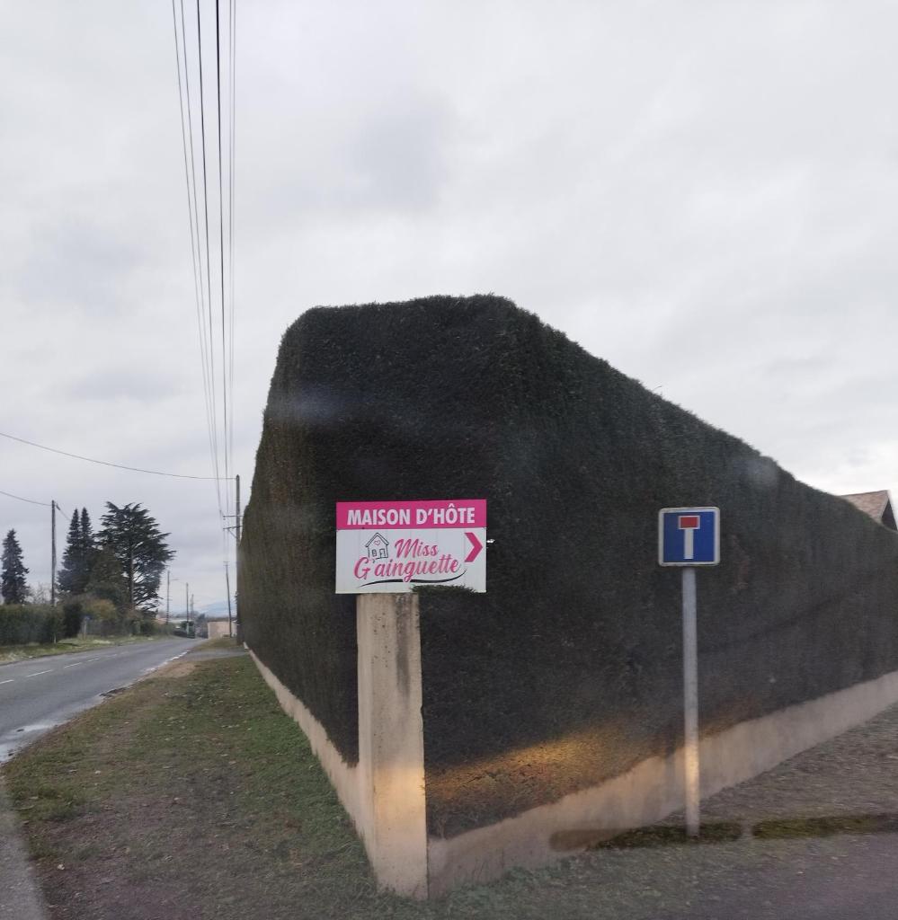 Miss G'Ainguette photo 1
