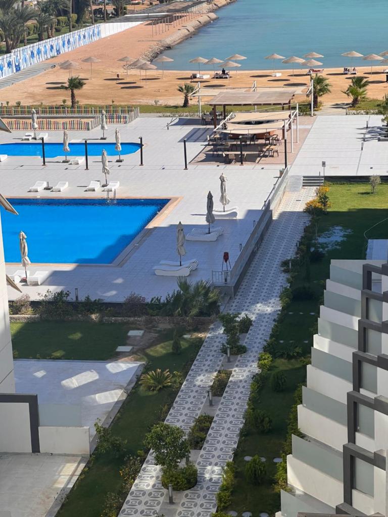 استدديك photo 4