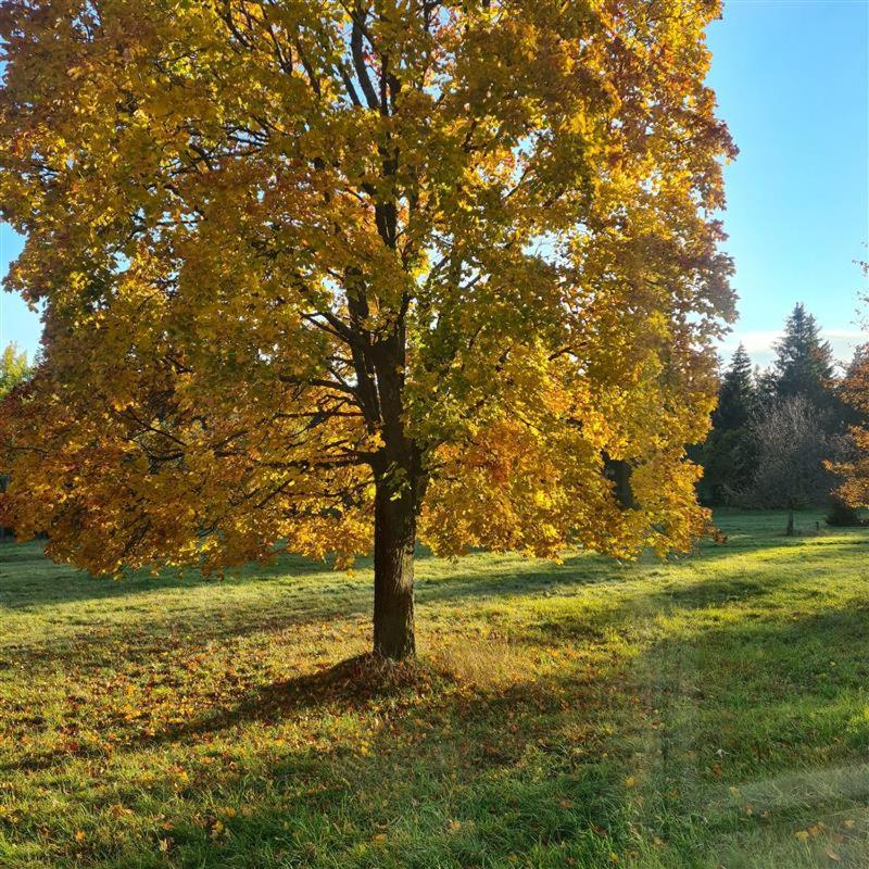 Internationales Haus Sonnenberg, Familien- und Gruppenhaus photo 3