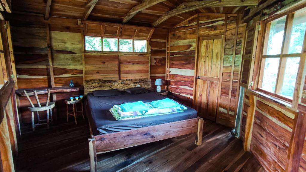 Jungle Cabins El Escondido photo 2