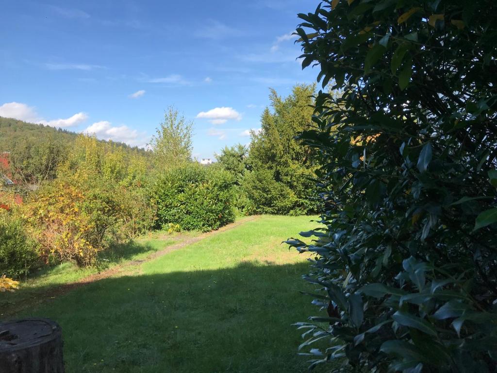 Idyllische Wohnung mitten in der Natur „ Haus Magnolia „ photo 2