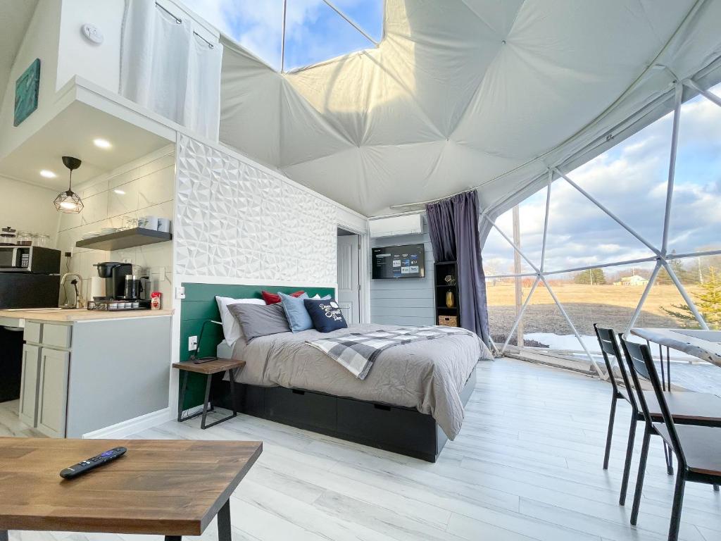 Port Wade Glamping Domes photo 2