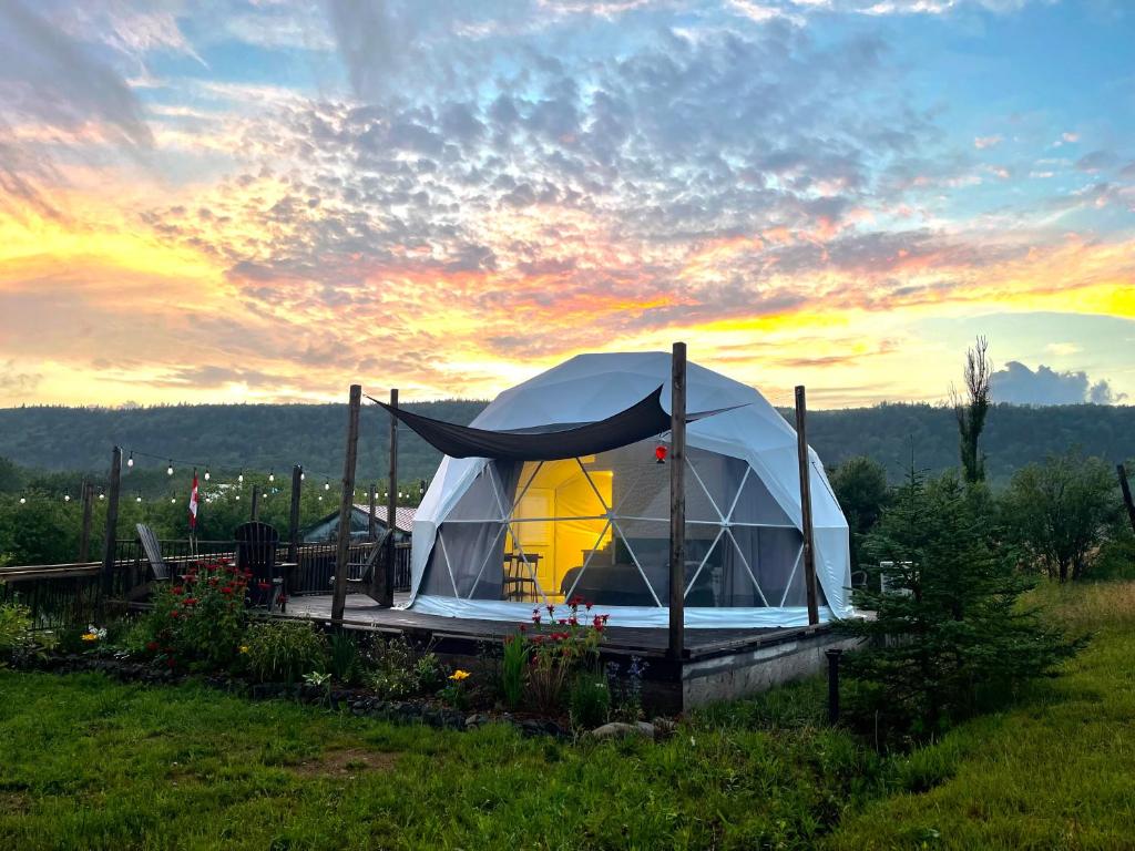 Port Wade Glamping Domes photo 3