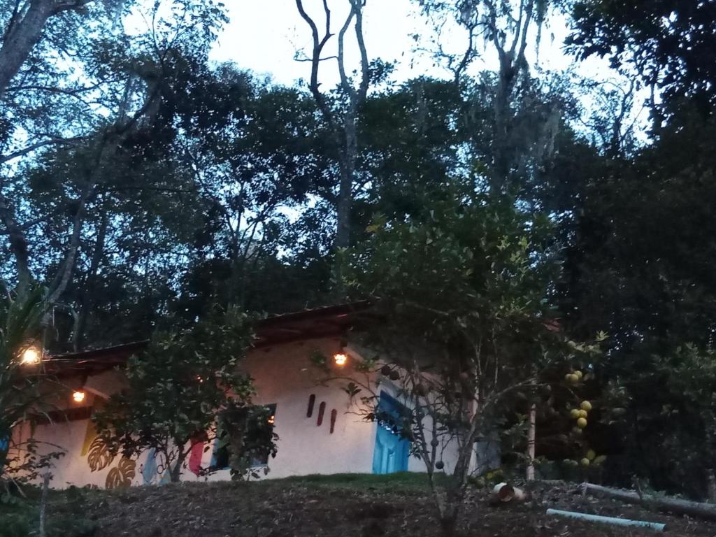 San Gabriel Ecologic photo 4