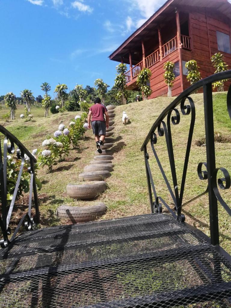 Finca La Gozadera photo 3