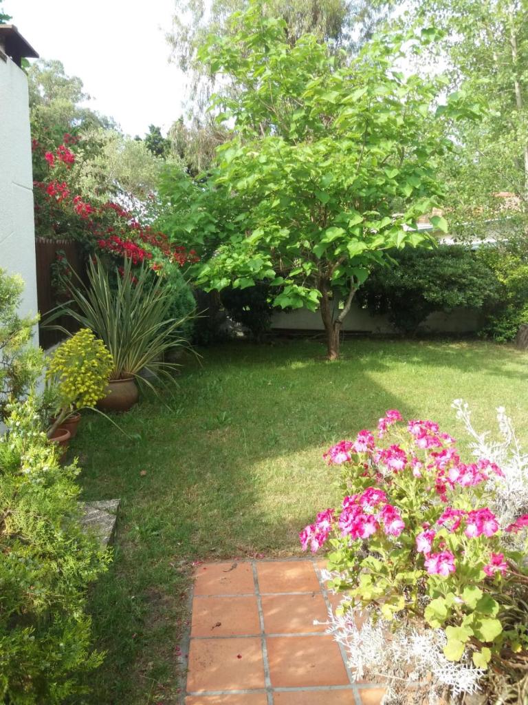 Alquileres en Piriápolis Coriman & Luz de Luna photo 1