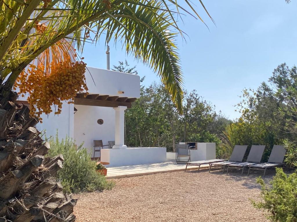 Ses Oliveres photo 2
