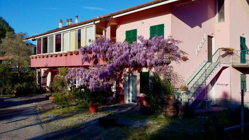 La Casa Rosa photo 1