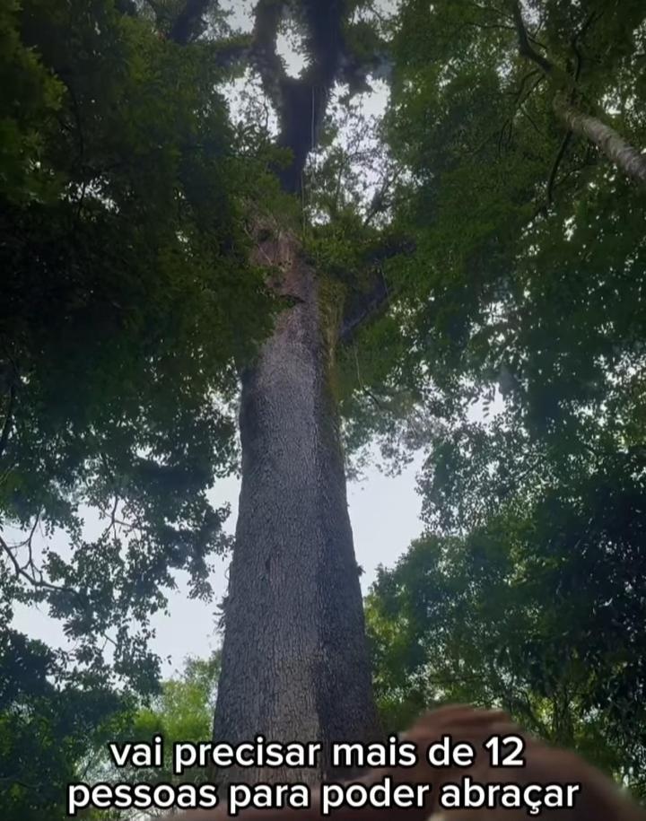 Vila Torres photo 1