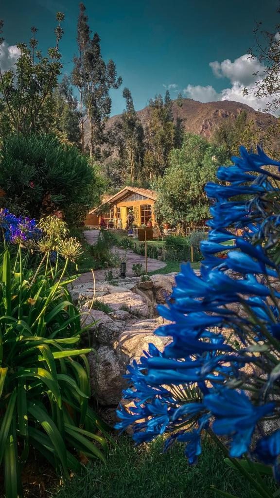Andean Wings Valley photo 1