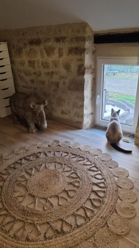 Location Chambre Colomby photo 2