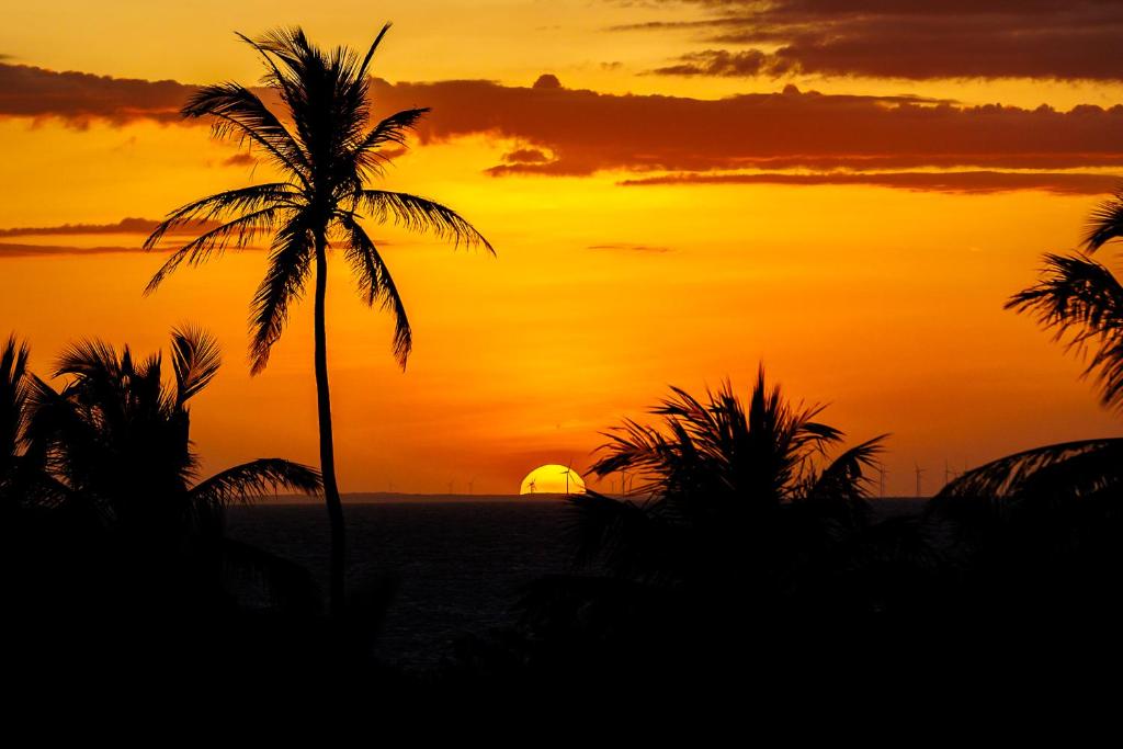 Carnaubinha Praia Resort photo 1