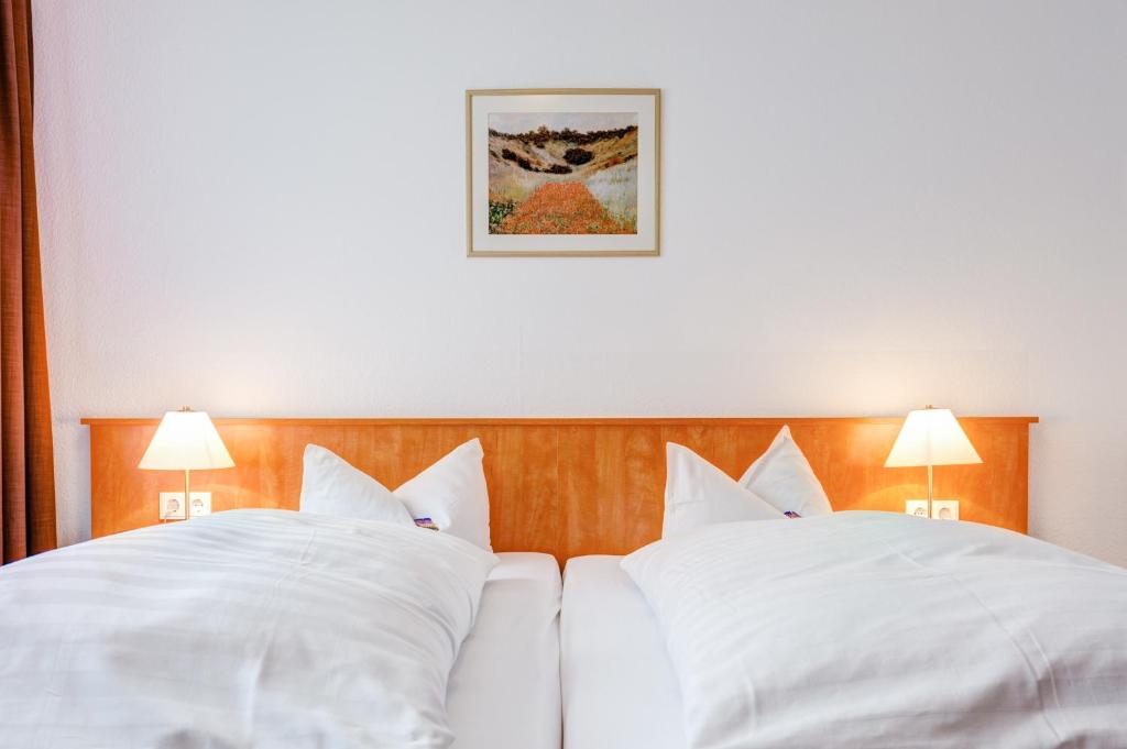 Двухместный (Двухместный номер «Комфорт» с 1 кроватью или 2 отдельными кроватями), Hotel Antares