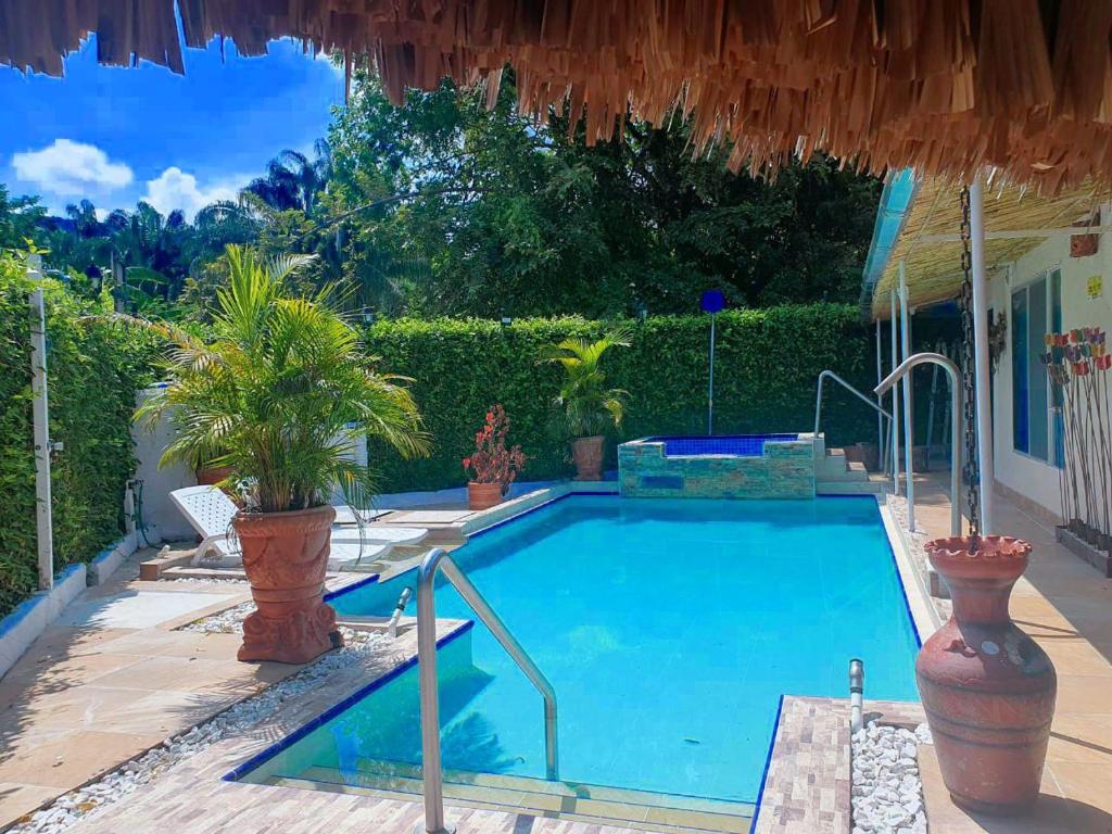 Villa Marfelia Spa photo 4