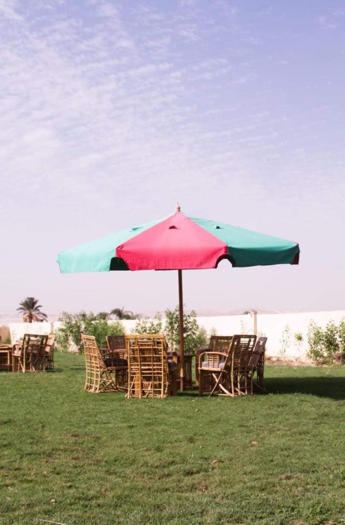 قرية تونس photo 3