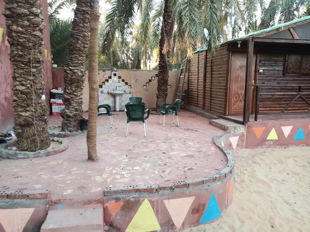 Omar Oasis photo 4