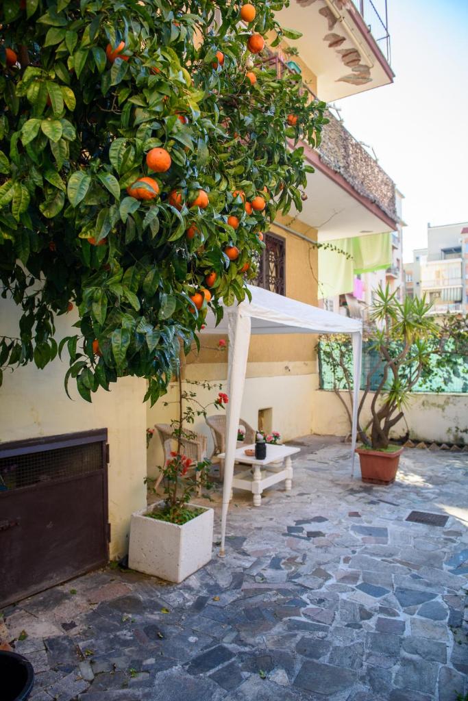 La Casa di Betty photo 4