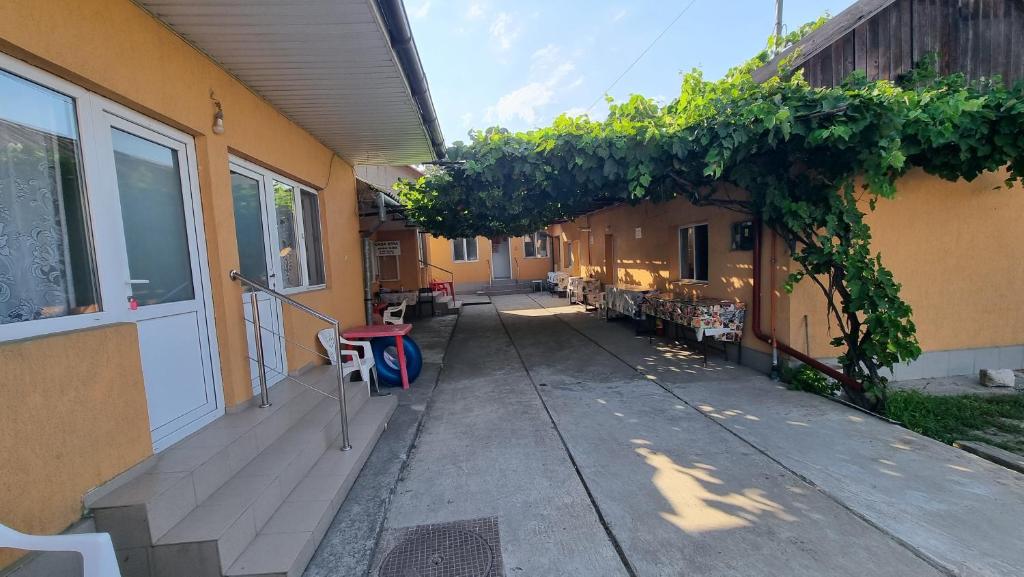Casa Mititelu photo 1