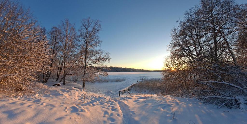 Mindfulness Homestay in Espoo photo 3