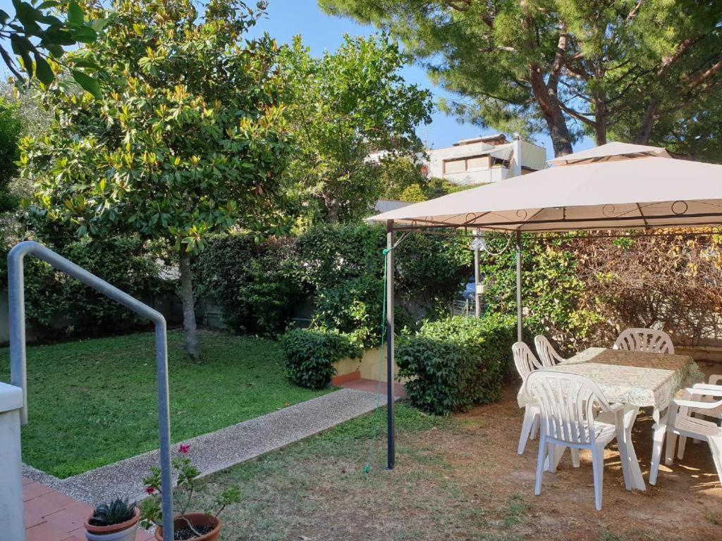 N240 - Numana, deliziosa taverna quadrilocale con giardino e piscina