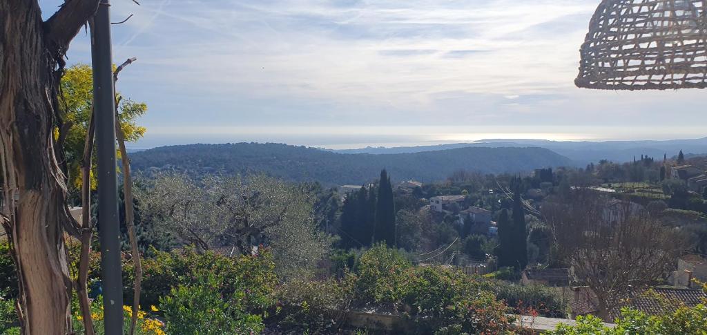 PLEIN SUD photo 1