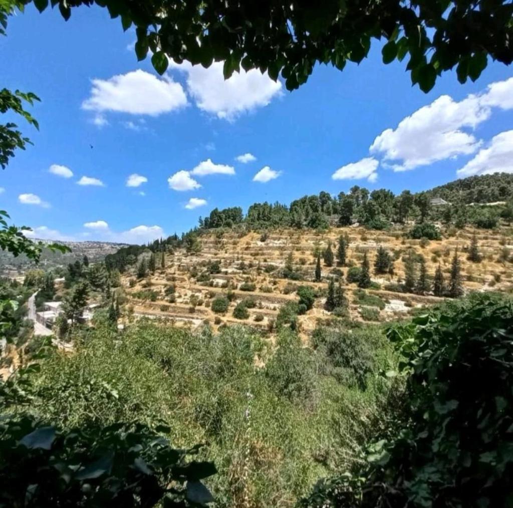 View of the Valley Guest House photo 2