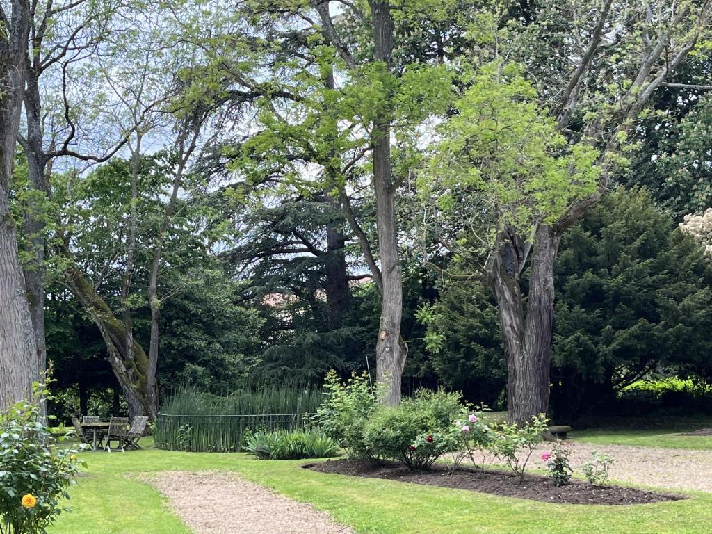 Domaine de Bellescize photo 4