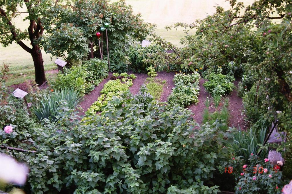 Villa Pranter photo 4