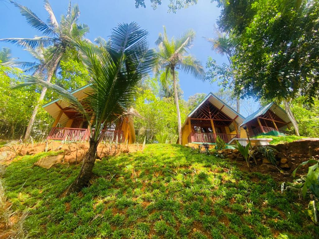 The Rainforest Hideaway photo 2