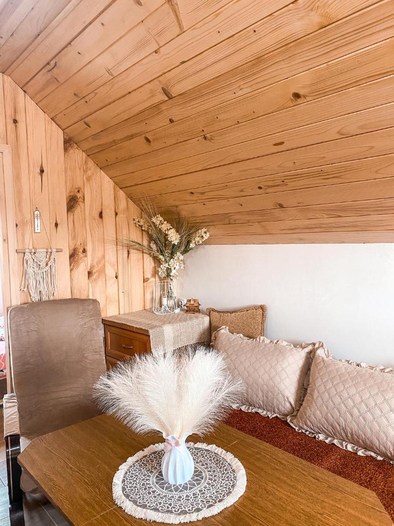 DOLINA ROZTOKI-mieszkanie,pokoje lub domek photo 3
