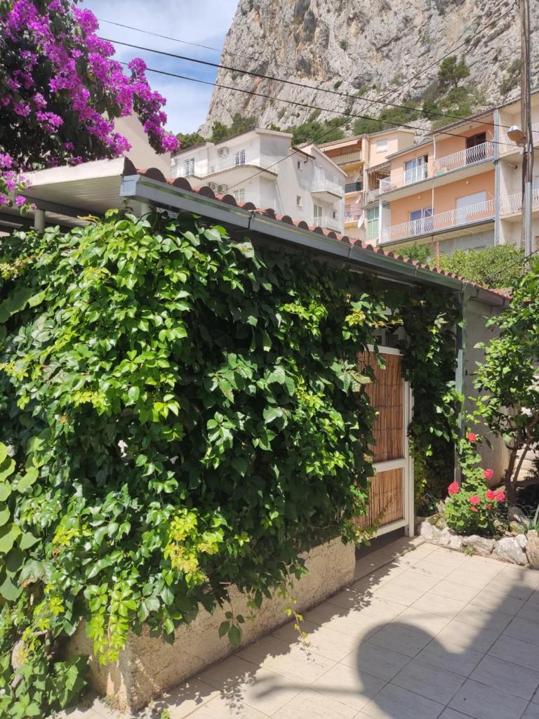 Apartments Mimi Omis photo 4