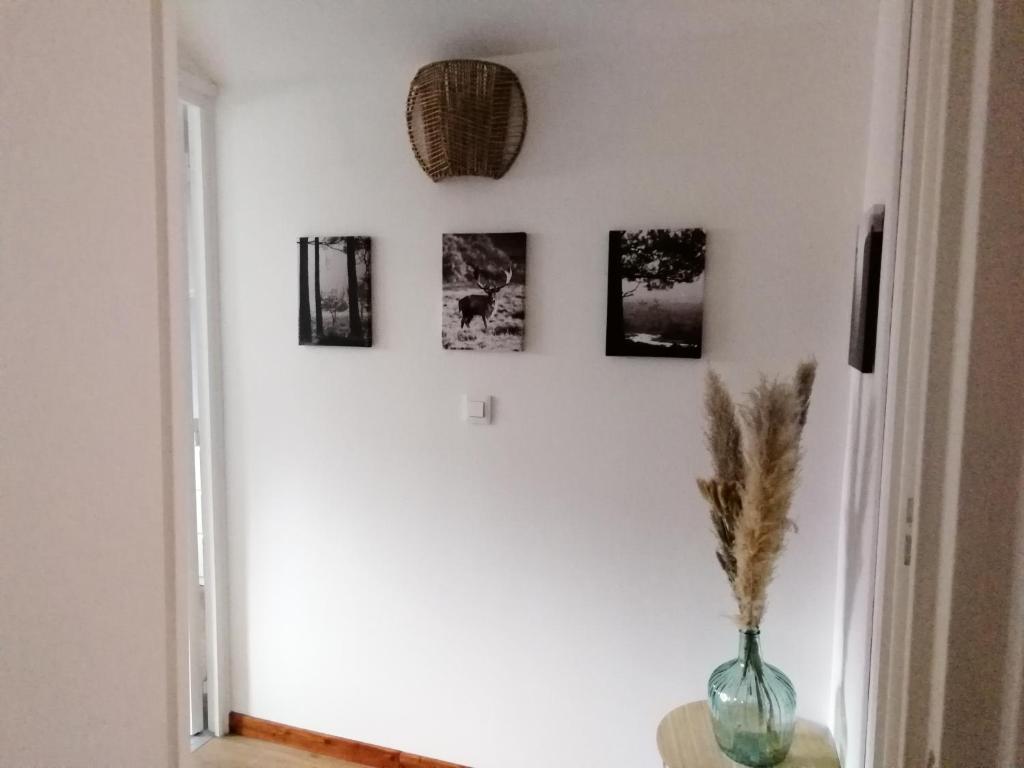 Le Marais photo 1