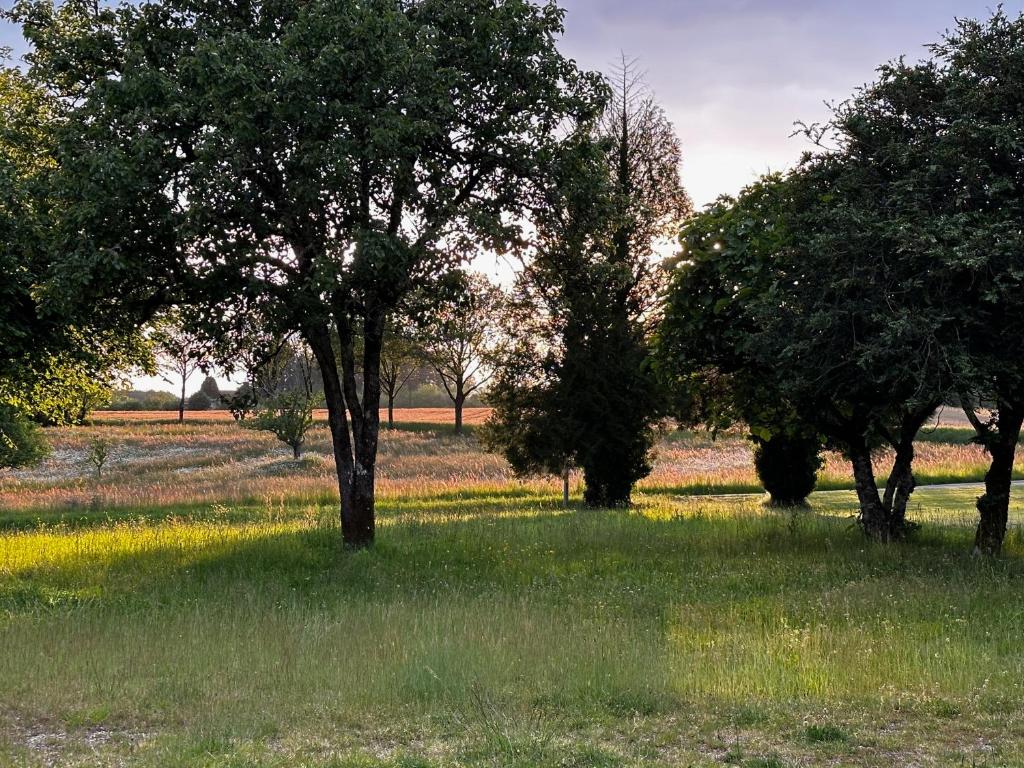 La Jarisse photo 2