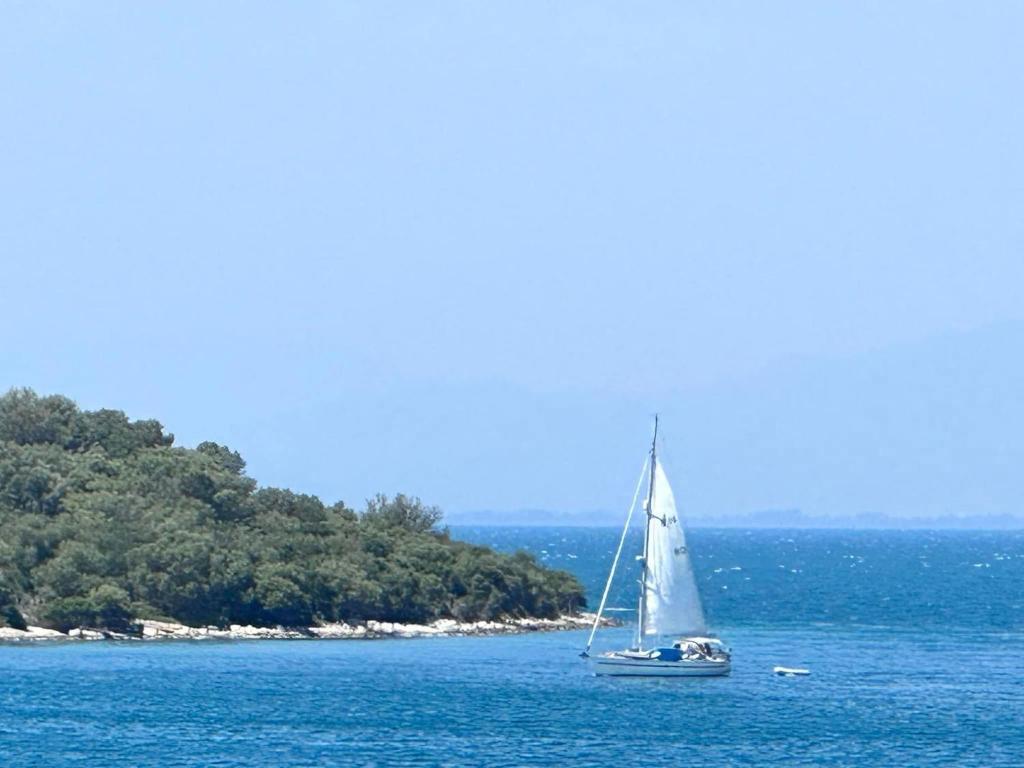 ARTE MARE d'Irene