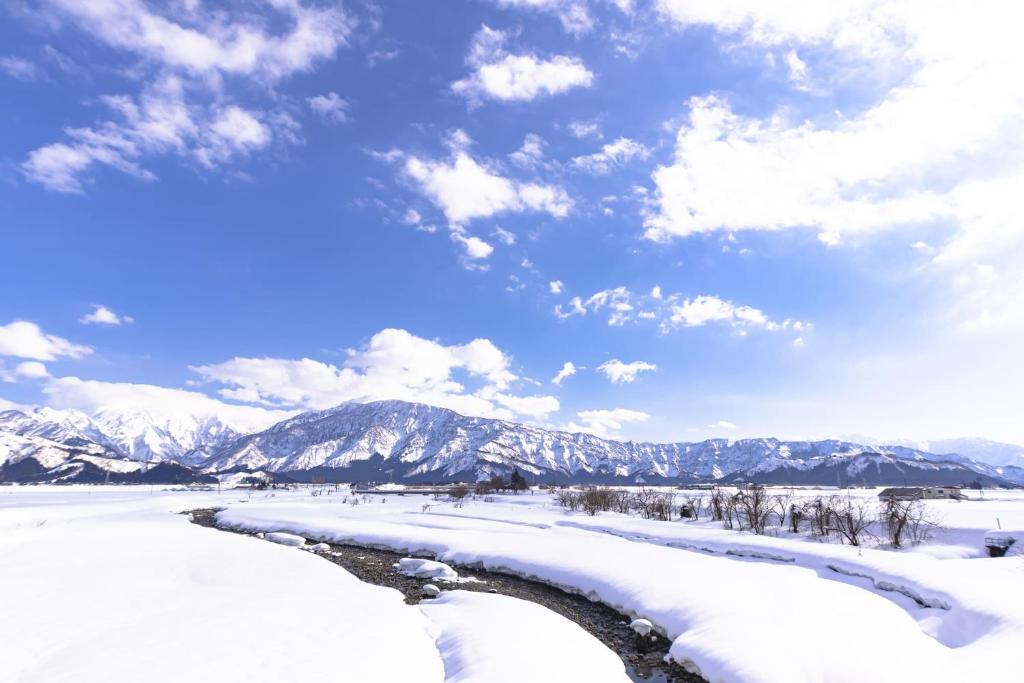 Sakadojo photo 3