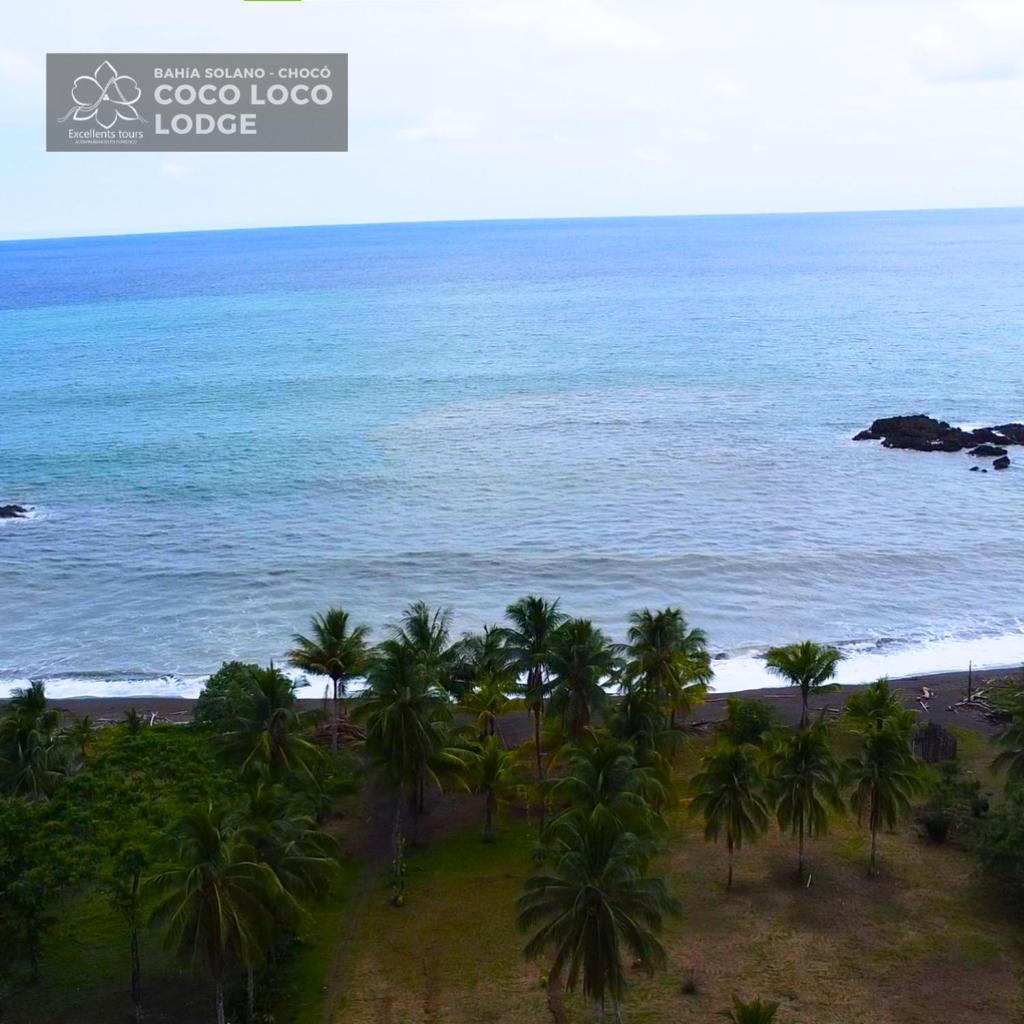 Excellents PUNTA ROCA photo 4