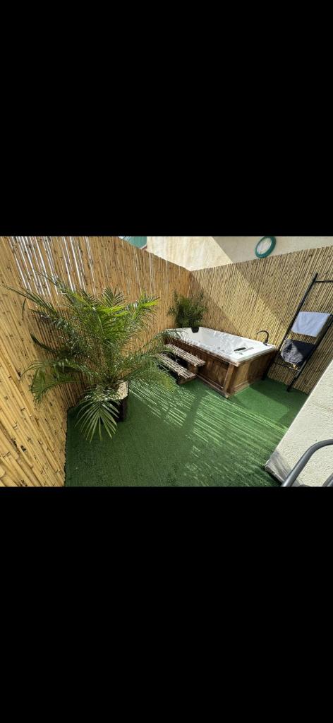 סוויטה בזכרון photo 3