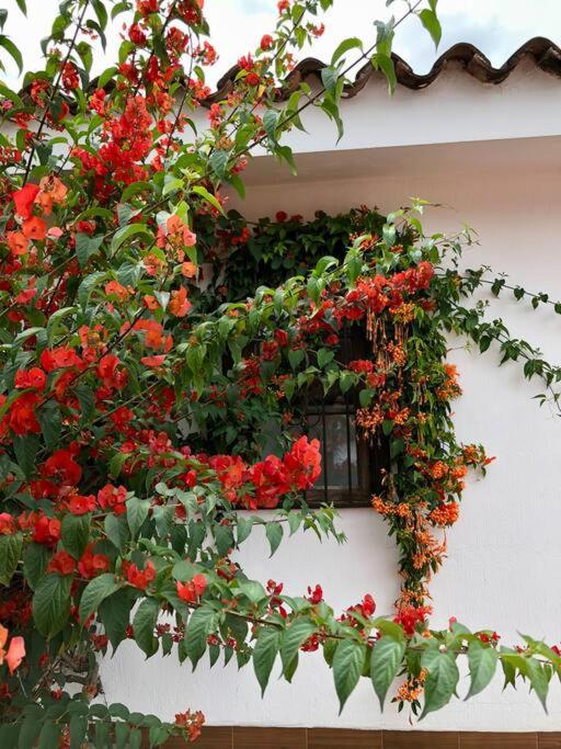 A home in the heart of Antigua photo 3