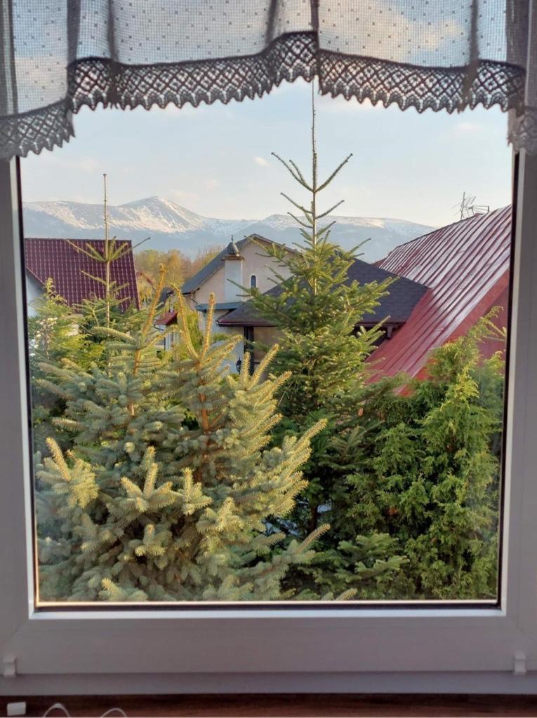 Szyszkowy Dwór