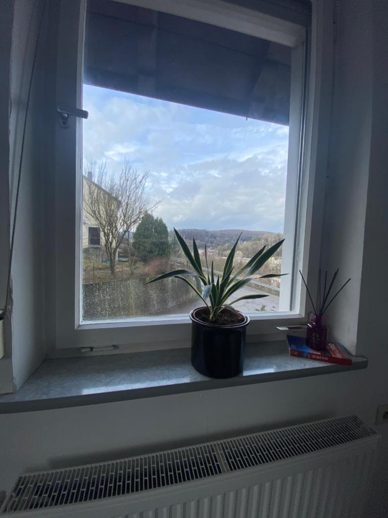 Bluestone Appartments - 26qm free and near parking photo 4